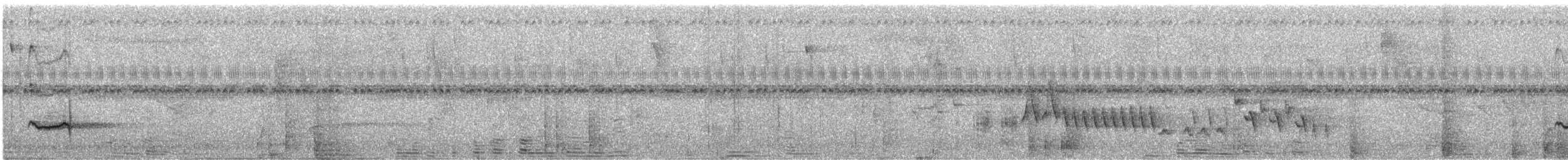 Schwarzschnabeldrossel (debilis) - ML613811300