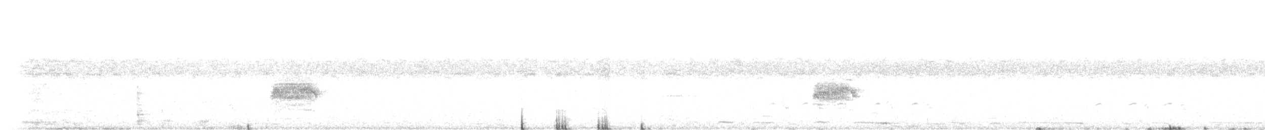 Uroilanda sp. - ML613811393