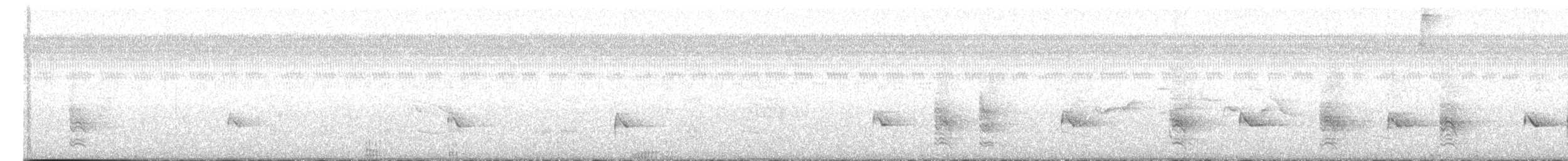 Трупіал чорноволий - ML613812376