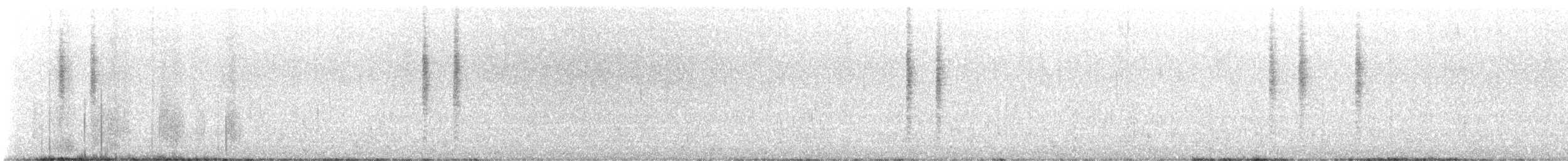 Troglodyte des marais (groupe plesius) - ML613813004