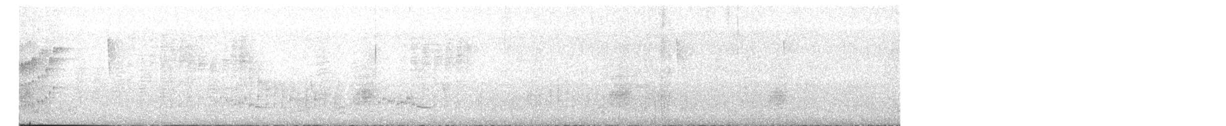 Troglodyte à ventre blanc (groupe leucogastra) - ML613813080