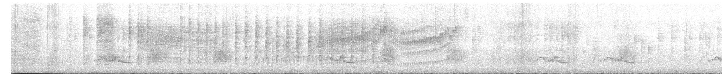 Белобрюхий крапивник [группа leucogastra] - ML613813150