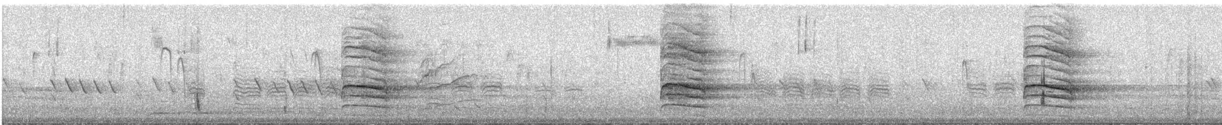Münzevi Bülbül Ardıcı (faxoni/crymophilus) - ML613813224