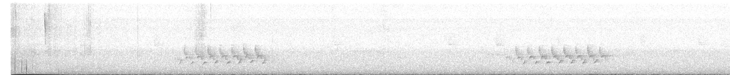 Поплітник каролінський (підвид albinucha/subfulvus) - ML613813296