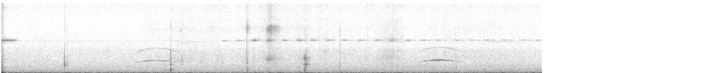 mørkhettetyrann (lawrenceii gr.) - ML613815112