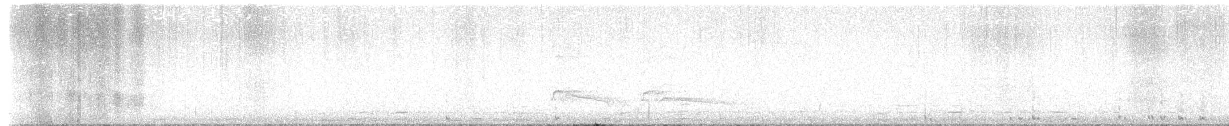 Cygne siffleur - ML613815917