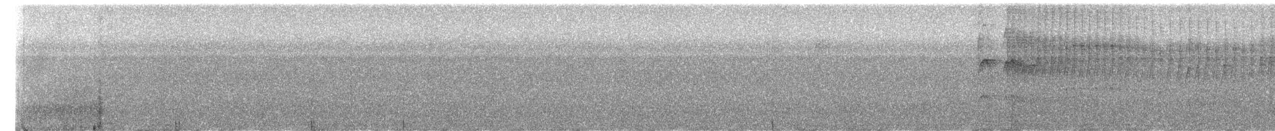 Pipromorphe à tête grise - ML613816278