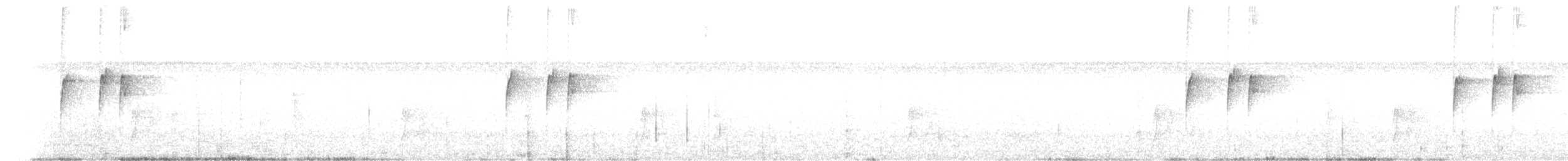 Todirostre à tête grise - ML613818033
