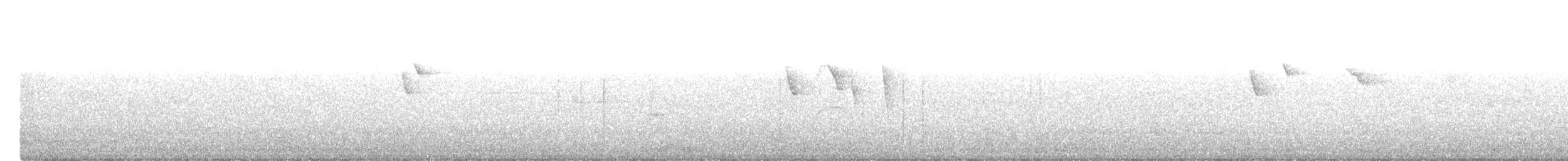 Conirostre bicolore - ML613819211