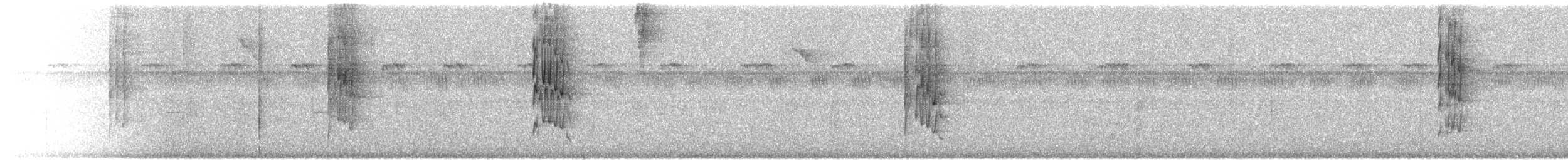 svartkroneløvgransker - ML613822274