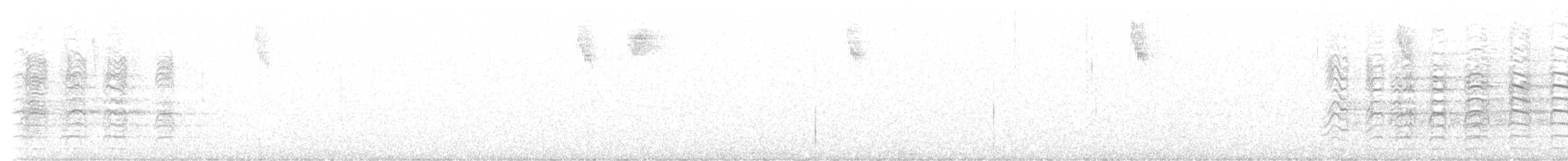 Hispanyola Papağanı - ML613822367