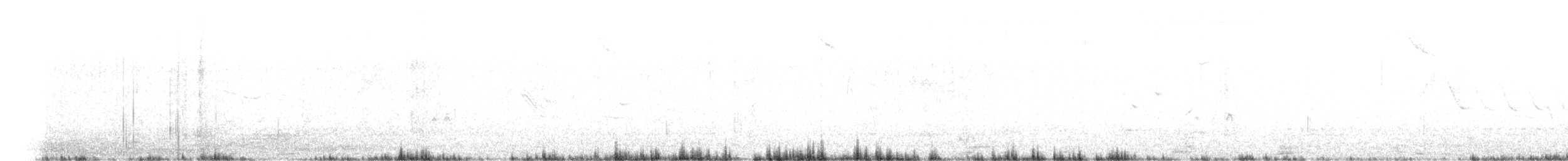 Loica Cejiblanca - ML613825245