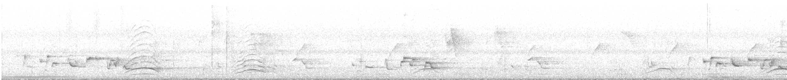 Malabar Gray Hornbill - ML613826234