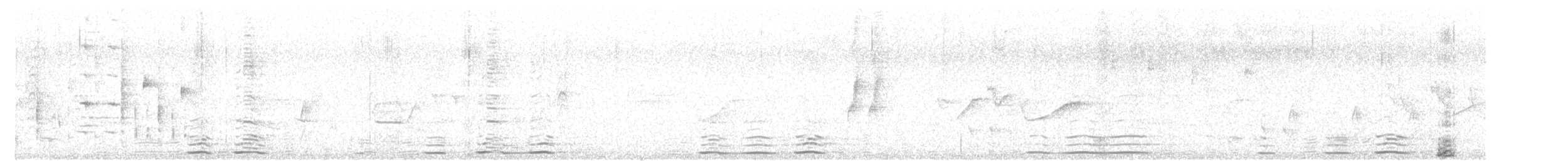 אווז הוואי - ML613826812