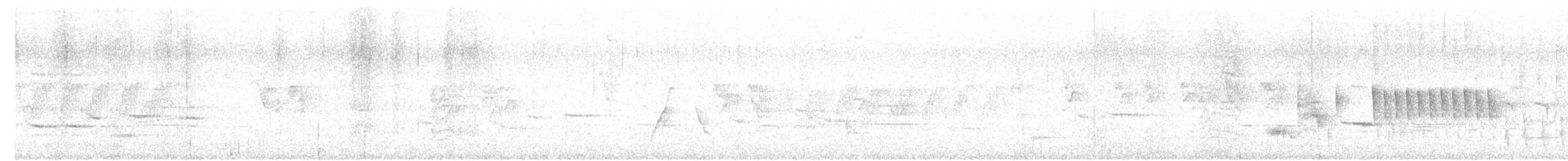 Елепайо гавайський (підвид ridgwayi) - ML613827422