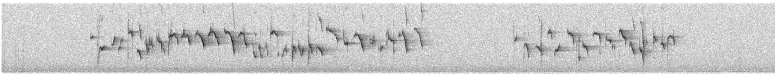 ミソサザイ（troglodytes グループ） - ML613828231