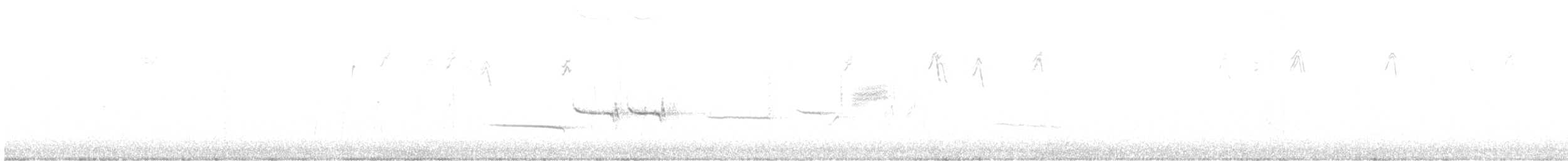 White-crowned Sparrow - ML613830253