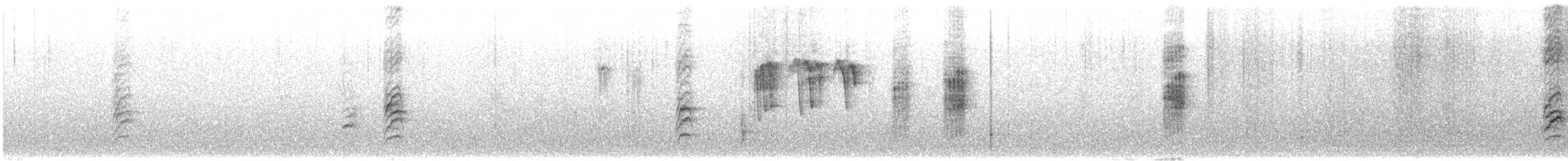 Magellandrossel (magellanicus/pembertoni) - ML613838413