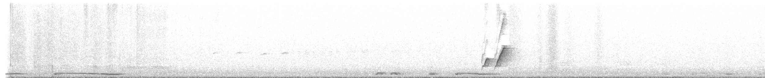Белокрылая горлица - ML613840366