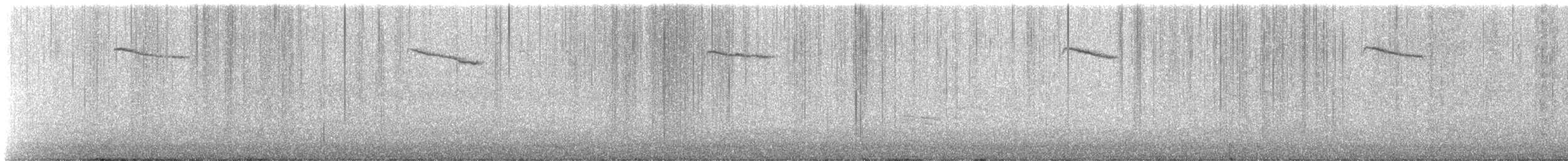 Einsiedler-Musendrossel - ML613840587