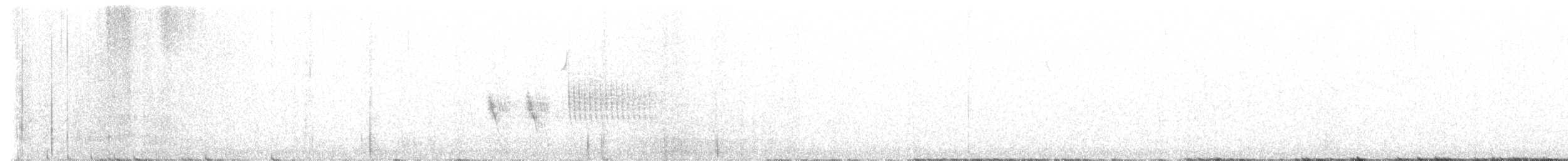 Тауї плямистий - ML613844281