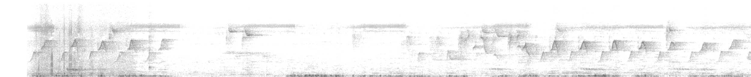 White-cheeked Barbet - ML613844592