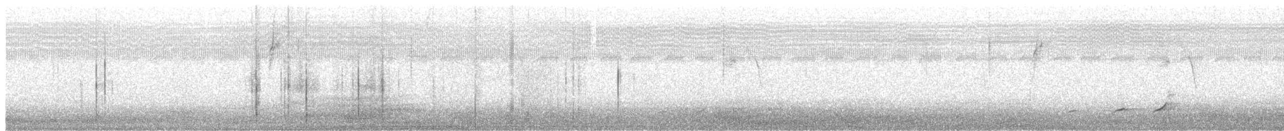Crested Bobwhite (Spot-bellied) - ML61384881