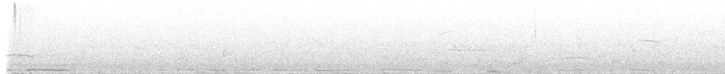 Tourterelle à ailes blanches - ML613848979