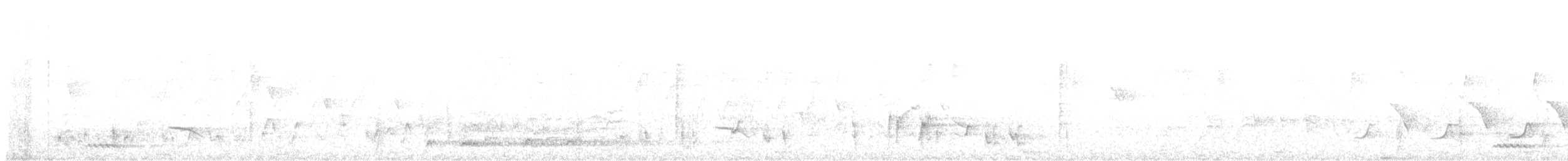 Bulbul à sourcils blancs - ML613850124