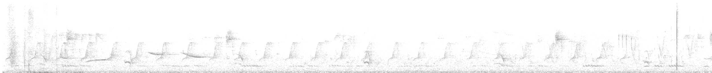 Rotbauch-Tyrannentimalie - ML613850140