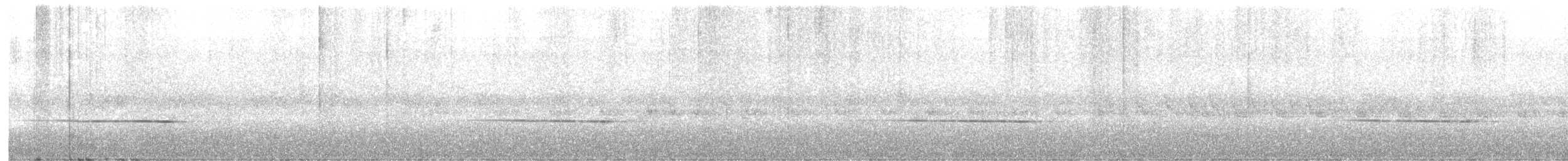Mystacorne de Crossley - ML613851017