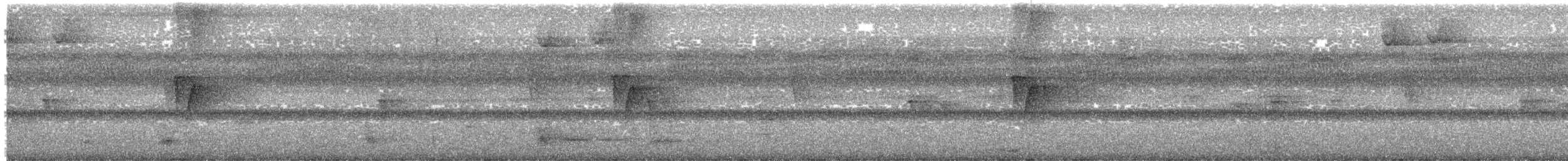 Painted Tody-Flycatcher - ML613853750