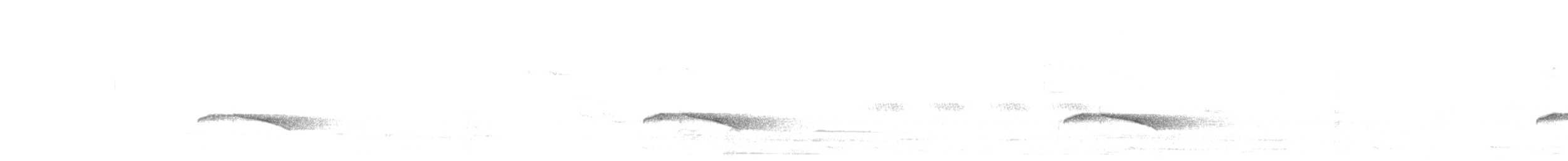 Kabarık Gerdanlı Ardıçesmeri - ML613853938