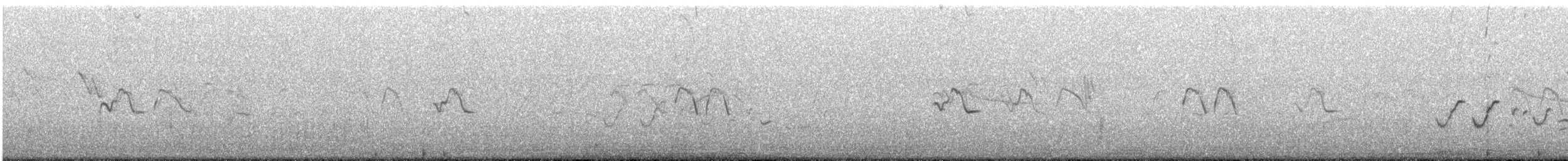 tygříček tečkovaný - ML613855252