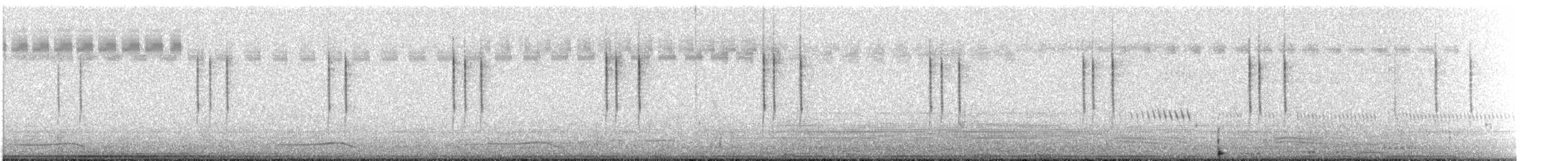 Cisticole des joncs - ML613855263