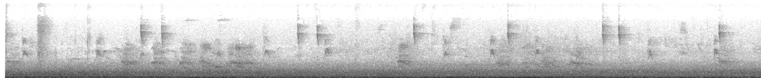 Troglodyte de Baird - ML613857857