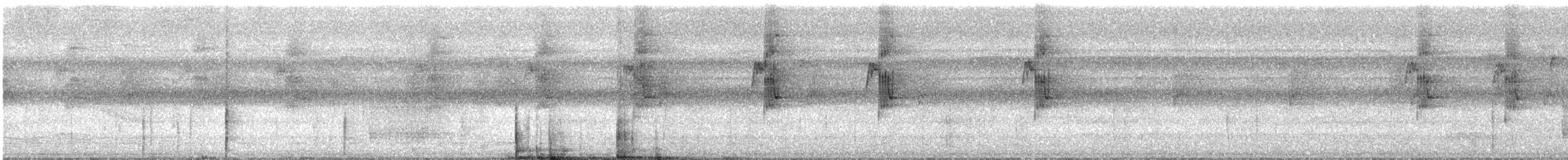 Большеклювый колибри-отшельник - ML613859211