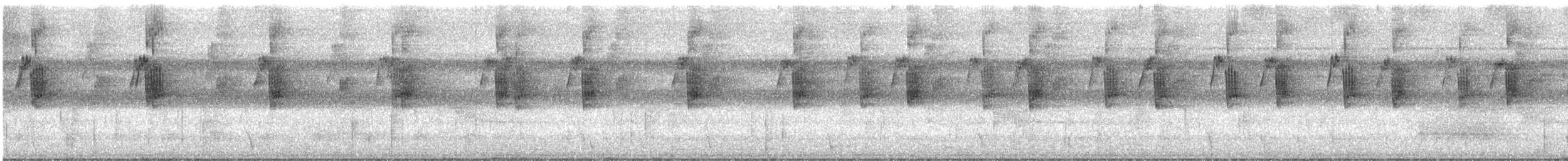 Большеклювый колибри-отшельник - ML613859215