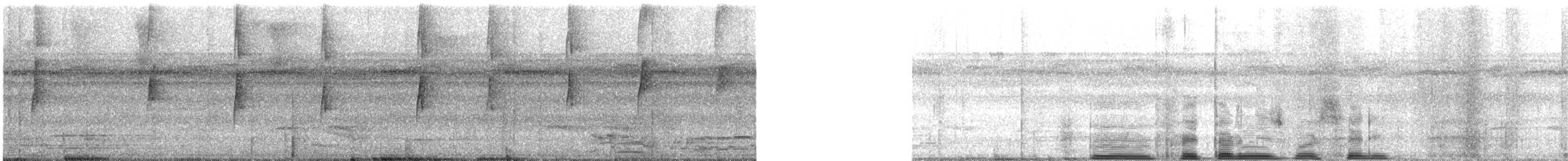 Прямоклювый колибри-отшельник - ML613860146