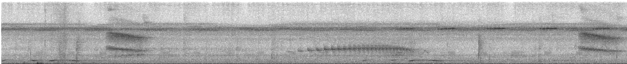 Weißkehl-Ameisenschlüpfer - ML613860161