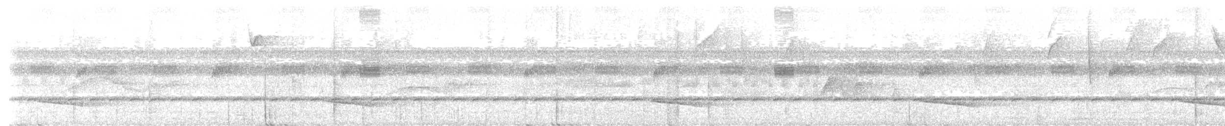 Smaragdan oreillard - ML613861029