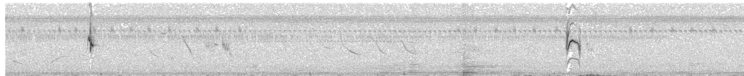 Sedef Karınlı Tohumcul - ML613861128