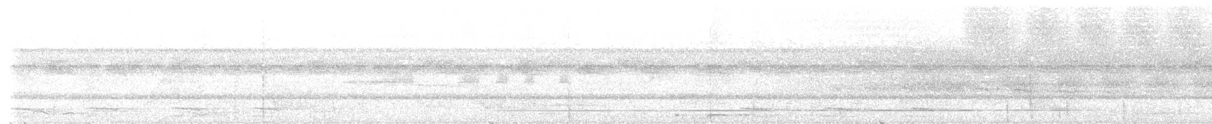 White-shouldered Antshrike - ML613861480