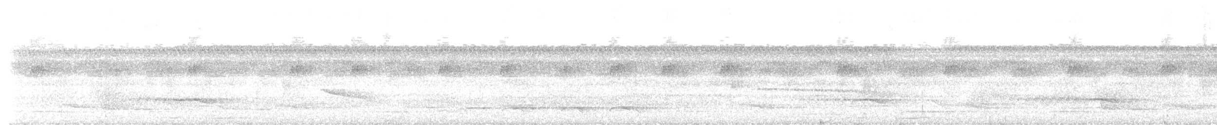 Spot-winged Antshrike - ML613861692