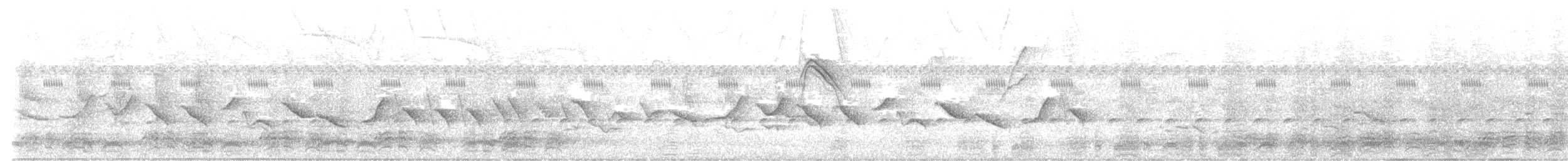 Kestane Karınlı Koca Tohumcul - ML613861707
