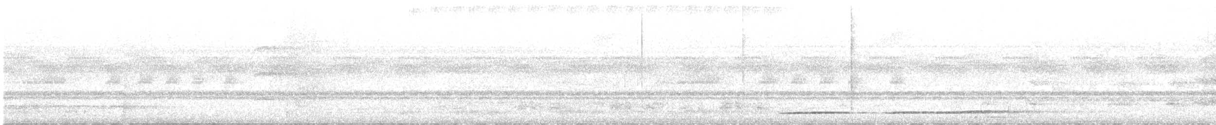 Черношапочная которра - ML613862235