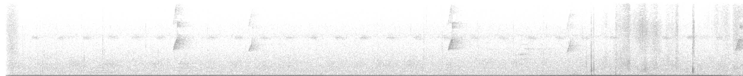 Короткохвостая аруна - ML613862954
