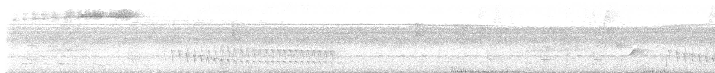 White-flanked Antwren - ML613863126
