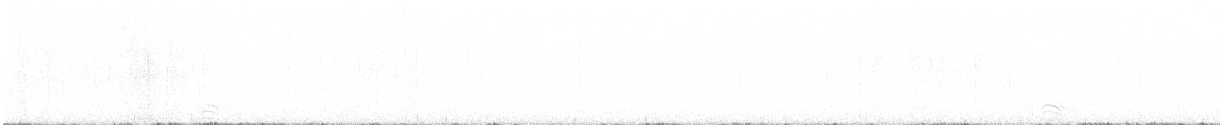 Белобрюхий рябок - ML613864173