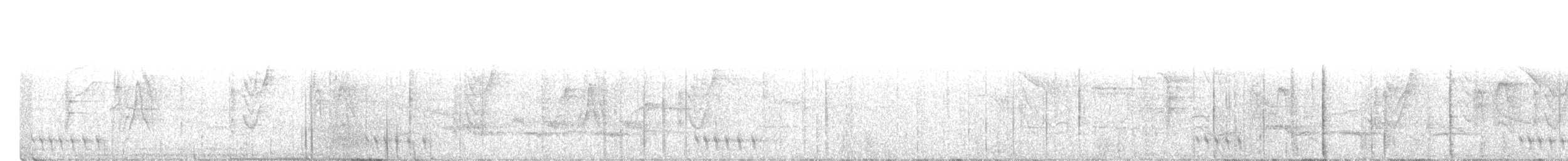 ヒメキヌバネドリ - ML613864243